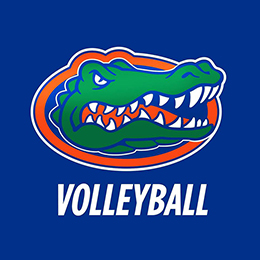 Green alligator head with orange outline on a blue background. White text below reads "VOLLEYBALL".