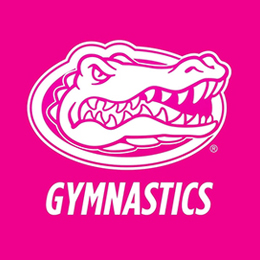 Alligator head in white outline on a pink background above the word "GYMNASTICS" in white block letters.
