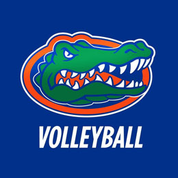 Green alligator head with orange outline on a blue background. White text below reads "VOLLEYBALL".