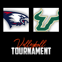 Volleyball Tournament Graphic