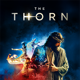 Thorn – 260×260 – Localized